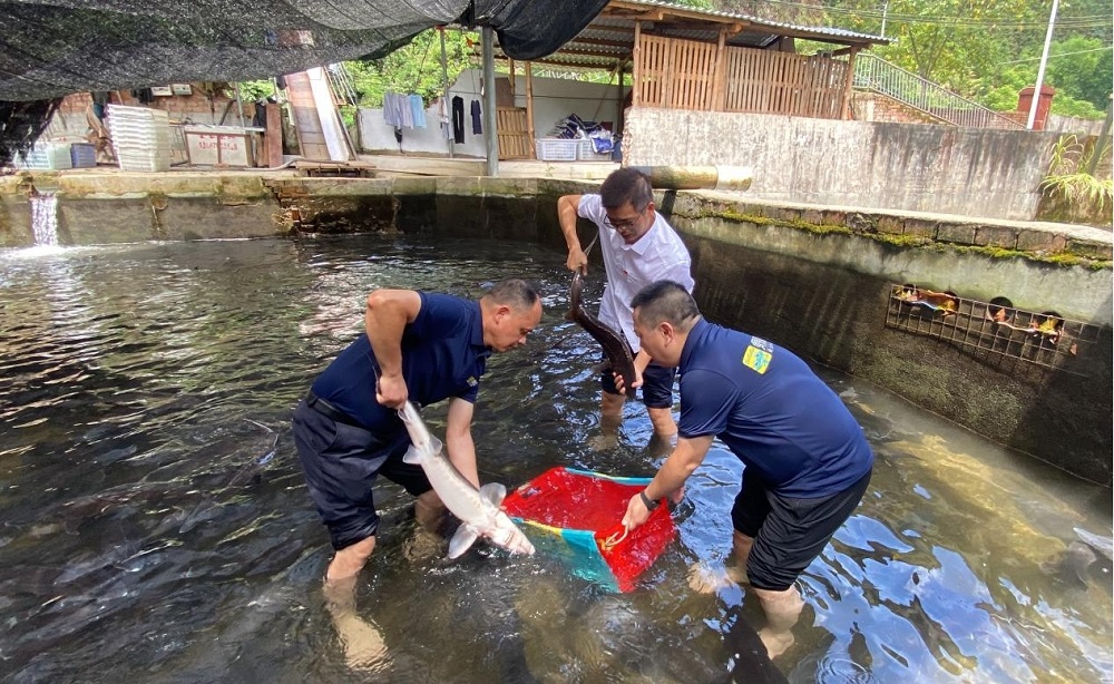 PA视讯(中国区)官网 - PlayAce